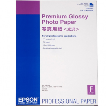 Фотопапір Epson Premium Glossy Photo Глянсовий 255Г/м кв, A2, 25л (C13S042091)